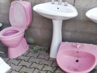 Cikma renkli pembe klozet